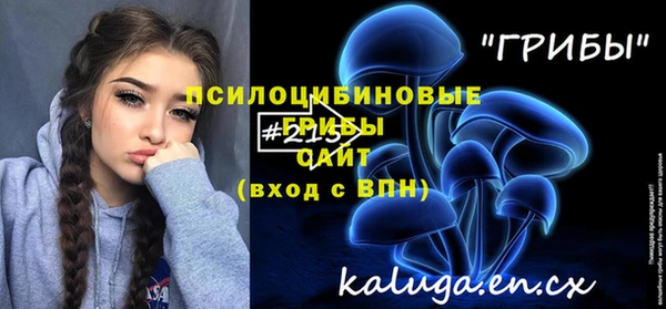 эйфоретик Баксан